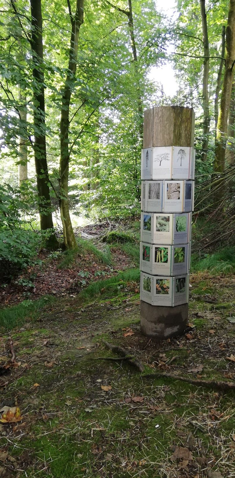 Waldwunderwelt Bad Griesbach, Bad Griesbach i.Rottal, Landkreis Passau, Bavaria, Germany