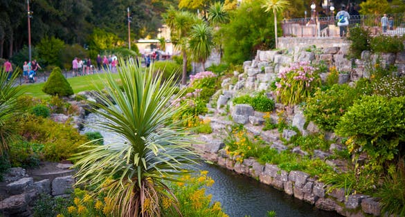 Photo of Bournemouth Lower Gardens. Tropical Palm on beautifully landscaped coastal garden background.