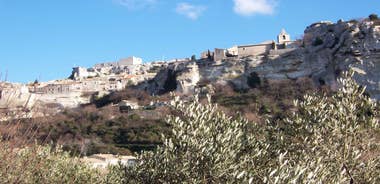 Avignon: Pont du Gard, Saint Remy and Les Baux Half-Day Tour