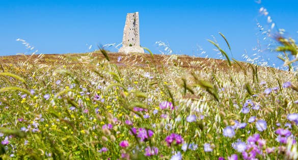 Torre del Serpe ("snake tower") is a coastal tower built in Roman times and enhanced by Frederick II, on the Adriatic coast of Salento (Puglia, Italy). The name is due to a legend. Otranto, Italy.