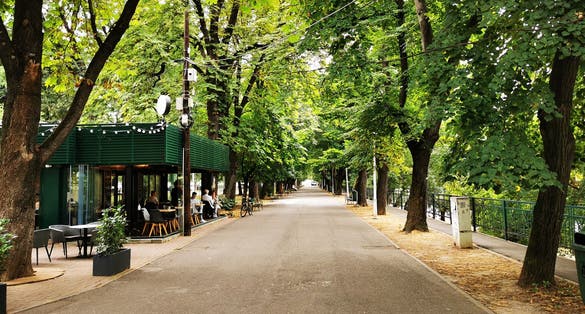 Must See Sight in the Capital City of Oradea