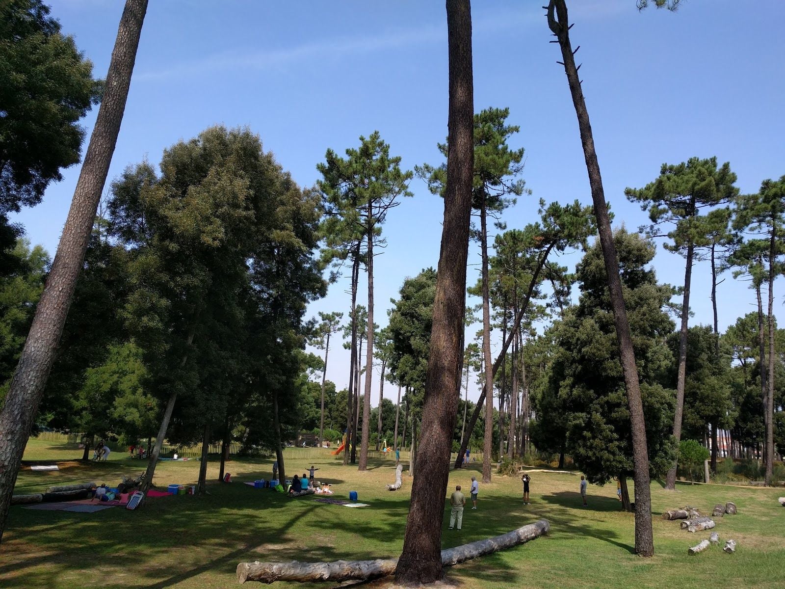 Buçaquinho Park, Cortegaça, Ovar, Aveiro, Baixo Vouga, Centro, Portugal