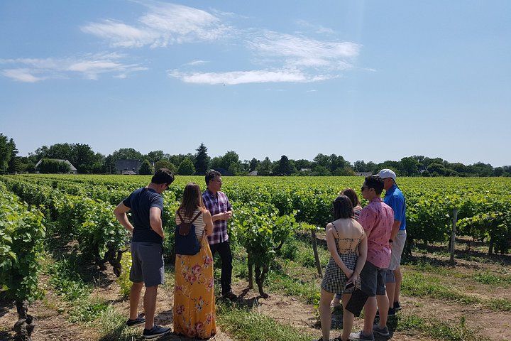 Loire Valley Half Day Wine Tour from Tours : Vouvray Wine Tasting
