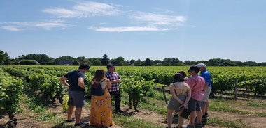 Loire Valley Half Day Wine Tour from Tours : Vouvray Wine Tasting