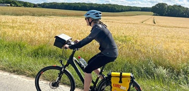 8-Day Tour of the Loire’s Finest Castles: Experience La Route Royal