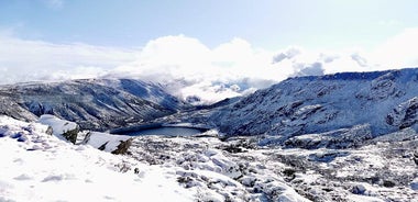 Serra da Estrela - Half-day off-road tour with cheese tasting