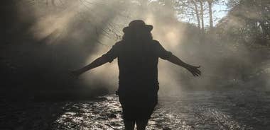 2-Day Tour of King Arthur's Cornwall in Tintagel, Boscastle and Dartmoor from Glastonbury