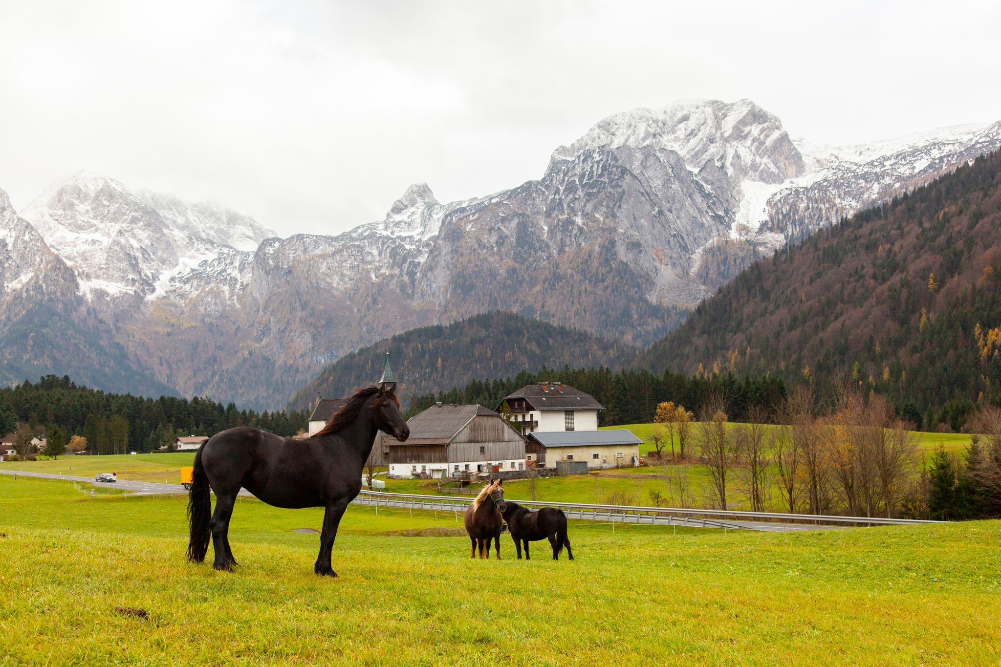 Best Time To Visit the Austrian Alps for Your Dream Adventure