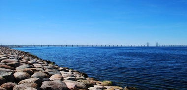 Best of Malmö: Private Walking Tour with a Local