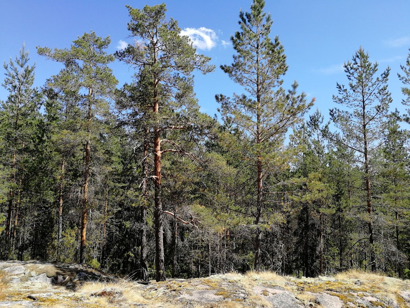 Palakoski Outdoor Recreation Area, Vihti, Helsinki sub-region, Uusimaa, Southern Finland, Mainland Finland, Finland