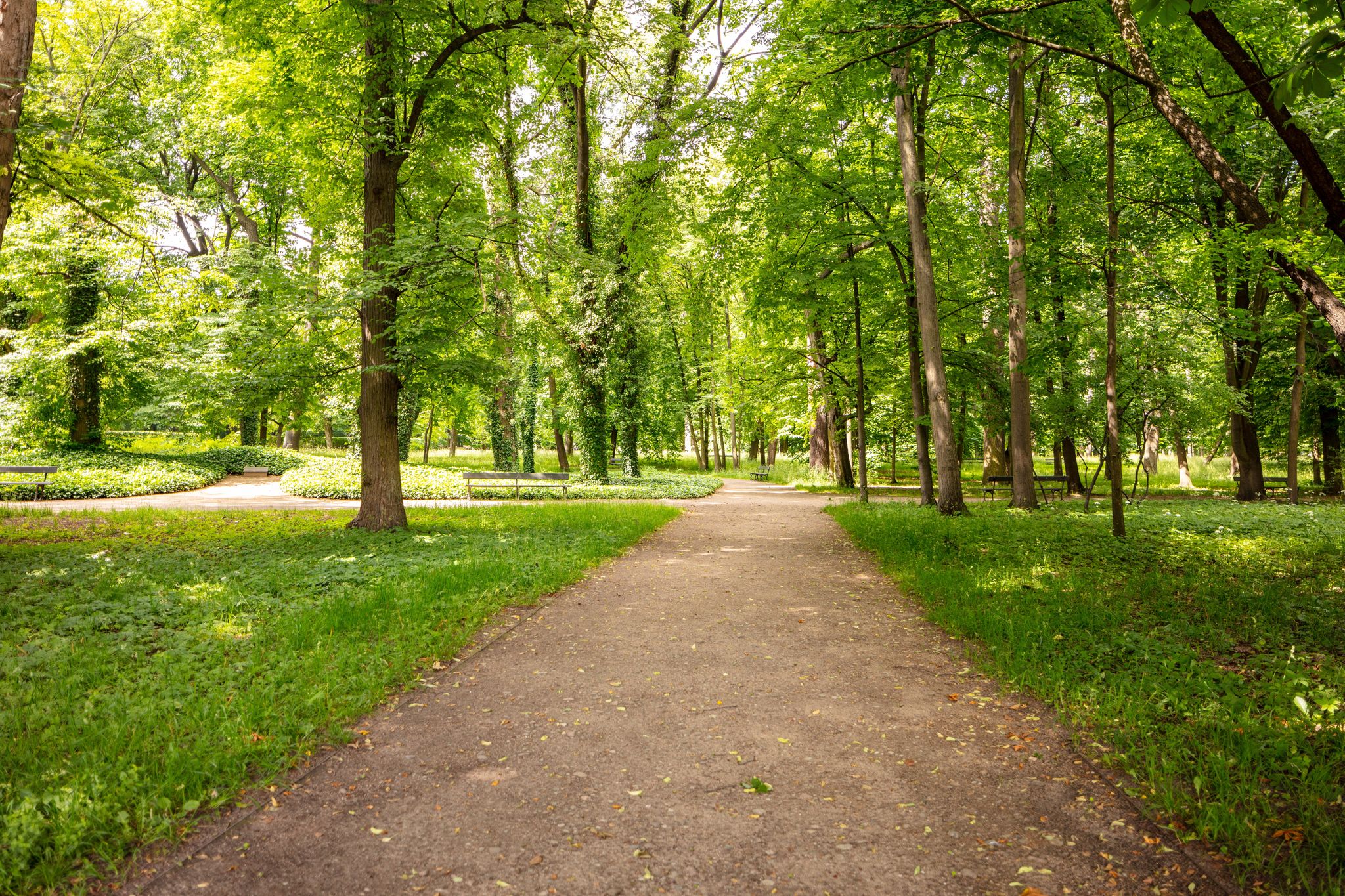 Photo of Royal Łazienki Park, path with benches among green trees. A beautiful place for family walks, Warsaw, Poland.