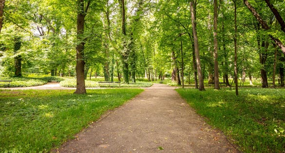 Photo of Royal Łazienki Park, path with benches among green trees. A beautiful place for family walks, Warsaw, Poland.