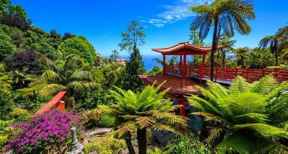 Photo of Monte Palace Tropical Garden with Waterfalls, Lakes and traditional buildings above the city of Funchal.