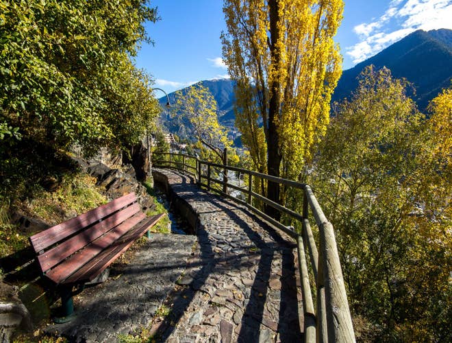 shutterstock_782064664 (1).jpg