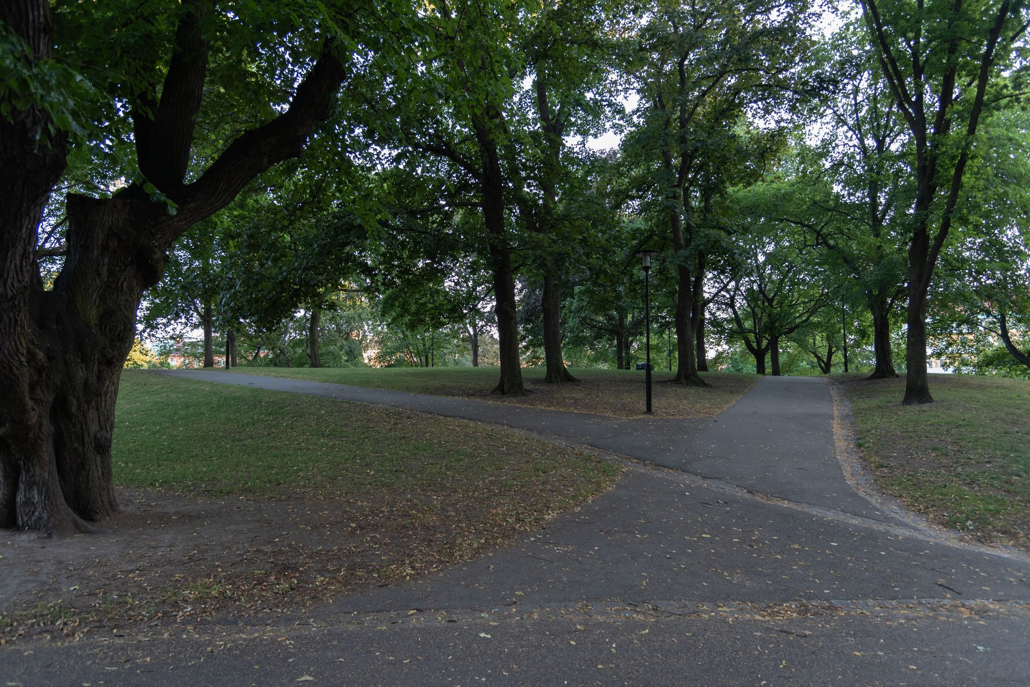 photo of Vasaparken a beautiful little park at evening in Vasastan in Stockholm, Sweden.