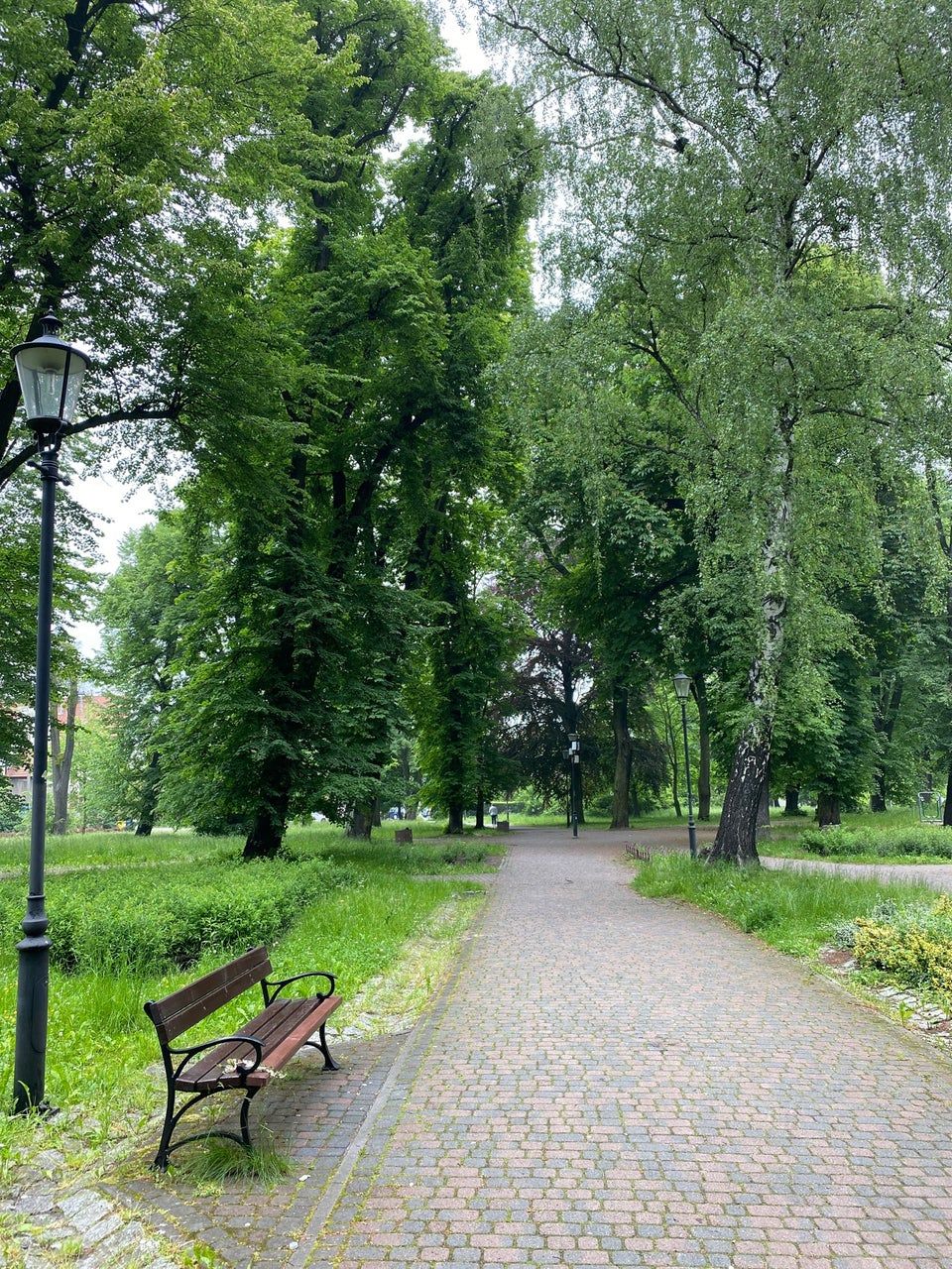 zielony park