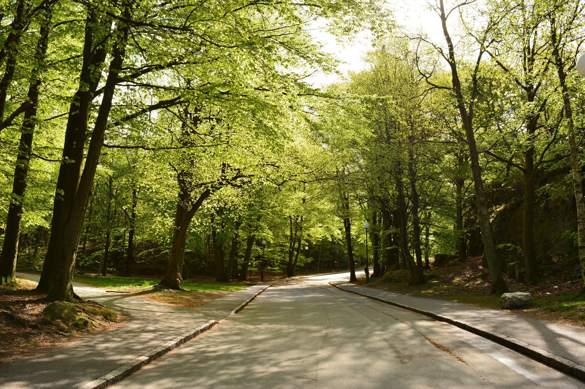 Photo of Slottsskogen Park in Gothenburg Sweden.