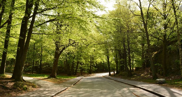 Photo of Slottsskogen Park in Gothenburg Sweden.