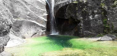 Peneda-Gerês National Park - Nature & Tastings -