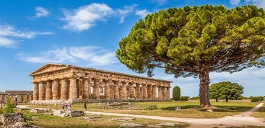 Paestum: Private Tour of Greek Temples and Archaeological Museum