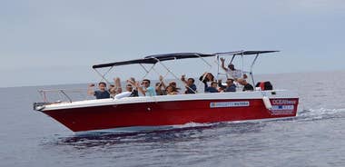 Alghero - Dolphin Watching (Spring & Autumn Tour)