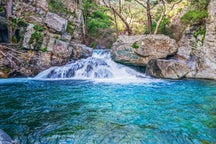 Edremit minivan rental