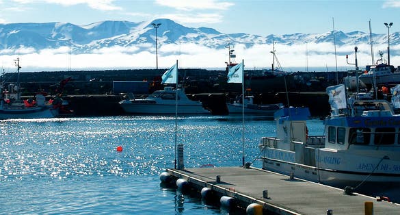Our whale-watching trip is over and we're safely back in the Húsavík harbor. Northern Iceland