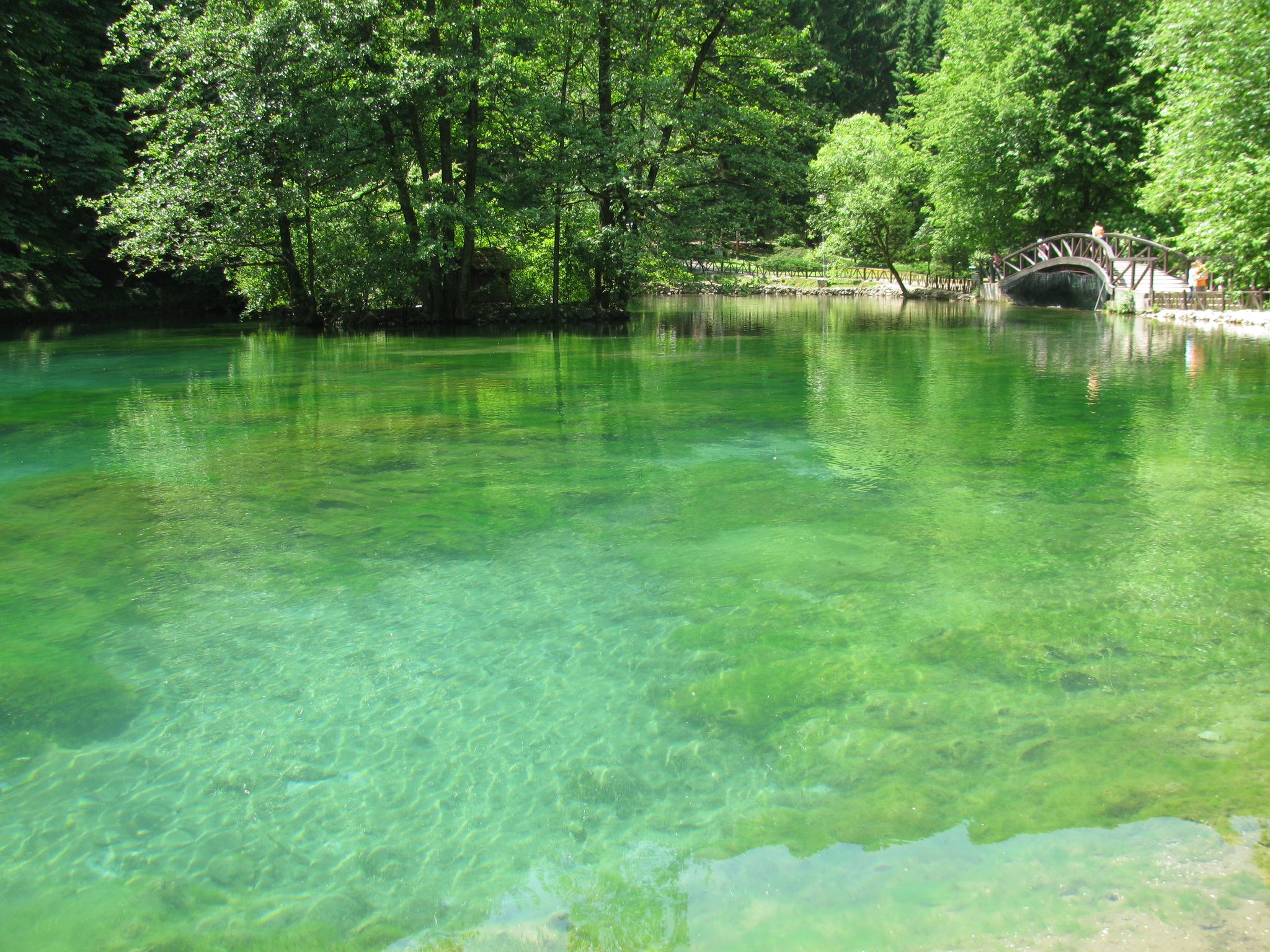 Bosna river, Ilidža.