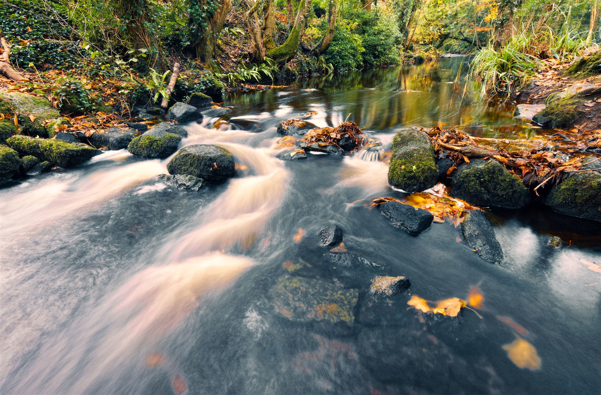 photo of view of Beautiful nature scenery of small river stream with rocks and leaves at Barna woods in Galway, Ireland.