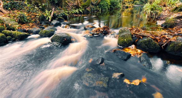 photo of view of Beautiful nature scenery of small river stream with rocks and leaves at Barna woods in Galway, Ireland.