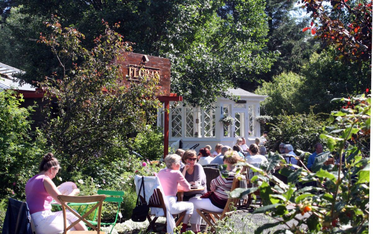 photo of view of Reykjavík Botanic Garden, Reykjavík, Iceland.