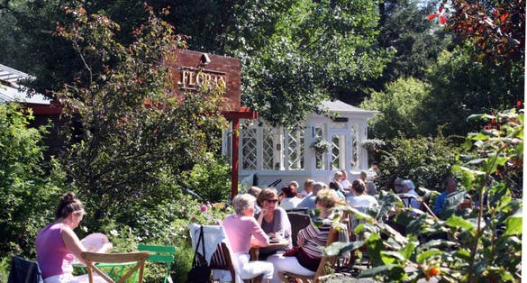 photo of view of Reykjavík Botanic Garden, Reykjavík, Iceland.
