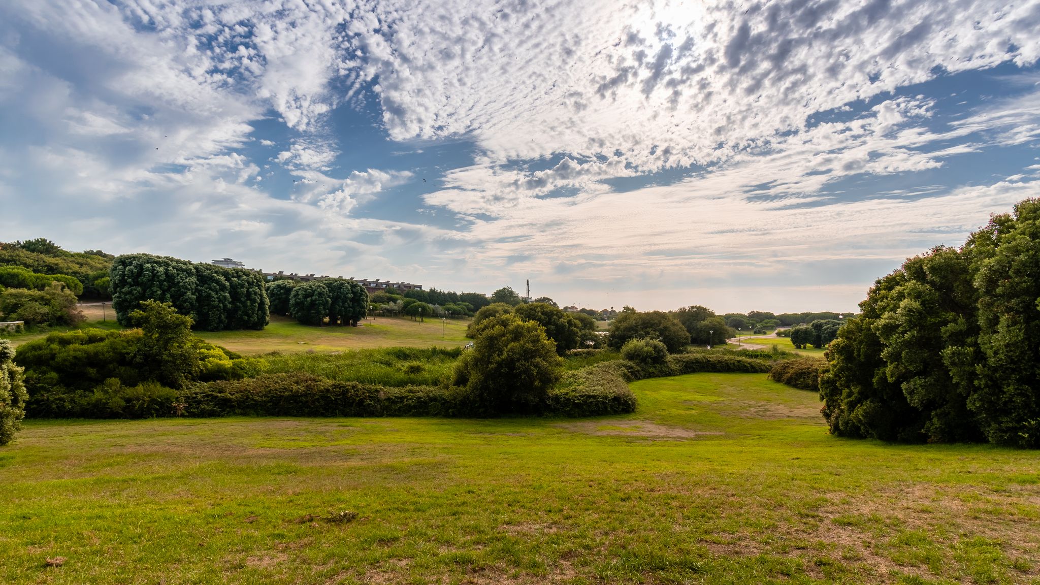 Photo of Parque da Cidade do Porto, Portugal, city Park is the largest city park in this city.