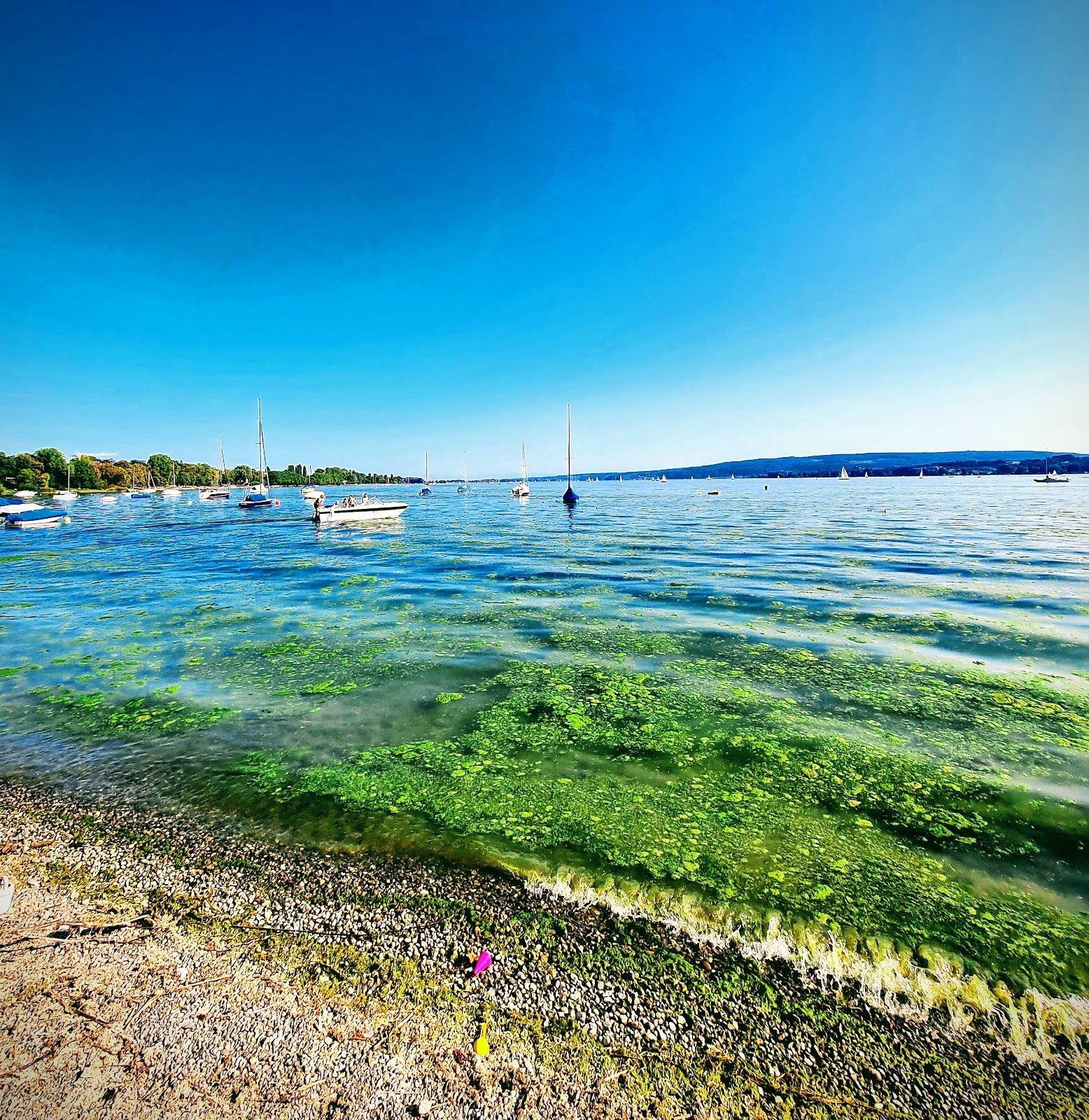 Radolfzell Strand, Baden-Württemberg, Germany