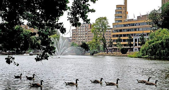 photo of view of Ixelles pond in October. Church reflection in water. Sunny autumn afternoon, Ixelles, Belgium.