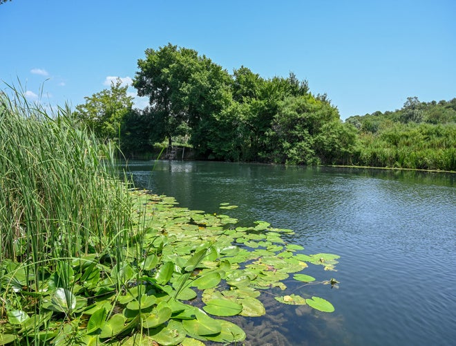 Hutovo Blato Nature Reserve.jpeg