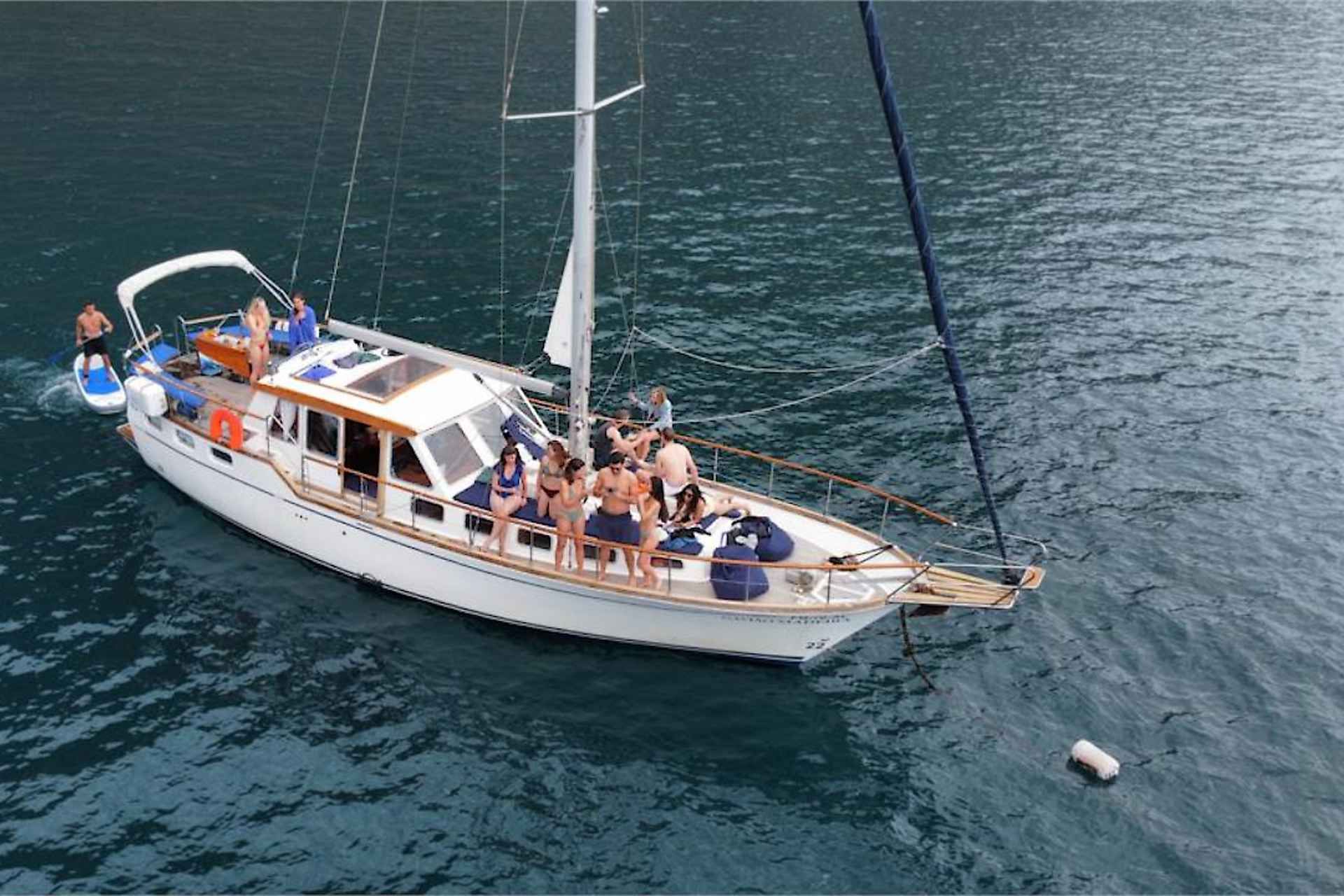 Funchal: Dolphin and Whale Watching Sailing Trip