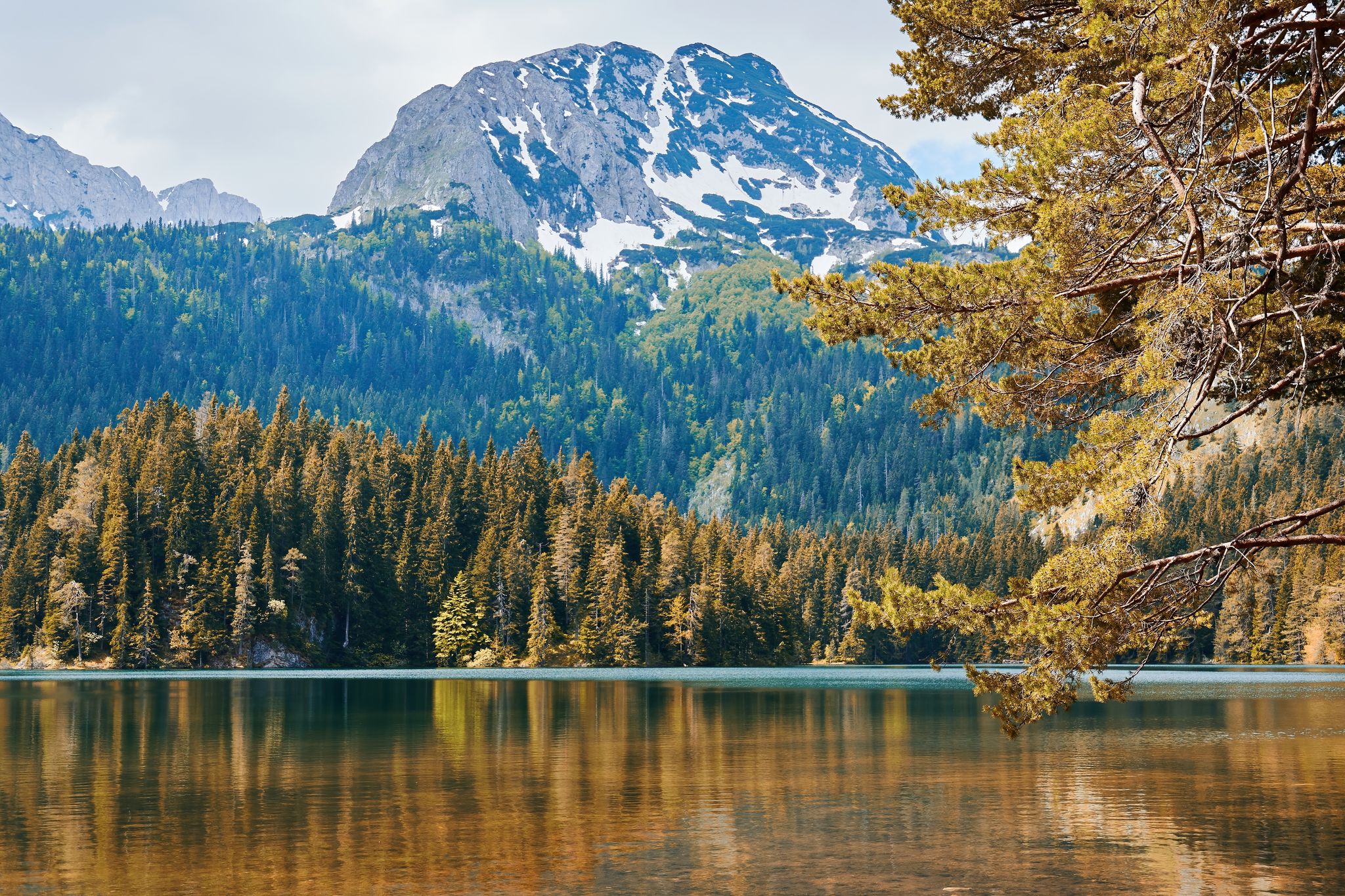 Photo of Montenegro Bobotov kuk peak and black lake with autumn nature and plants.