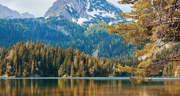 Photo of Montenegro Bobotov kuk peak and black lake with autumn nature and plants.