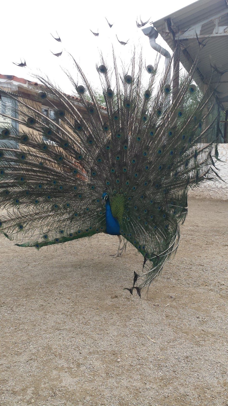 Rioja Natura Park Zoo, Santo Domingo de la Calzada, Rioja, Spain