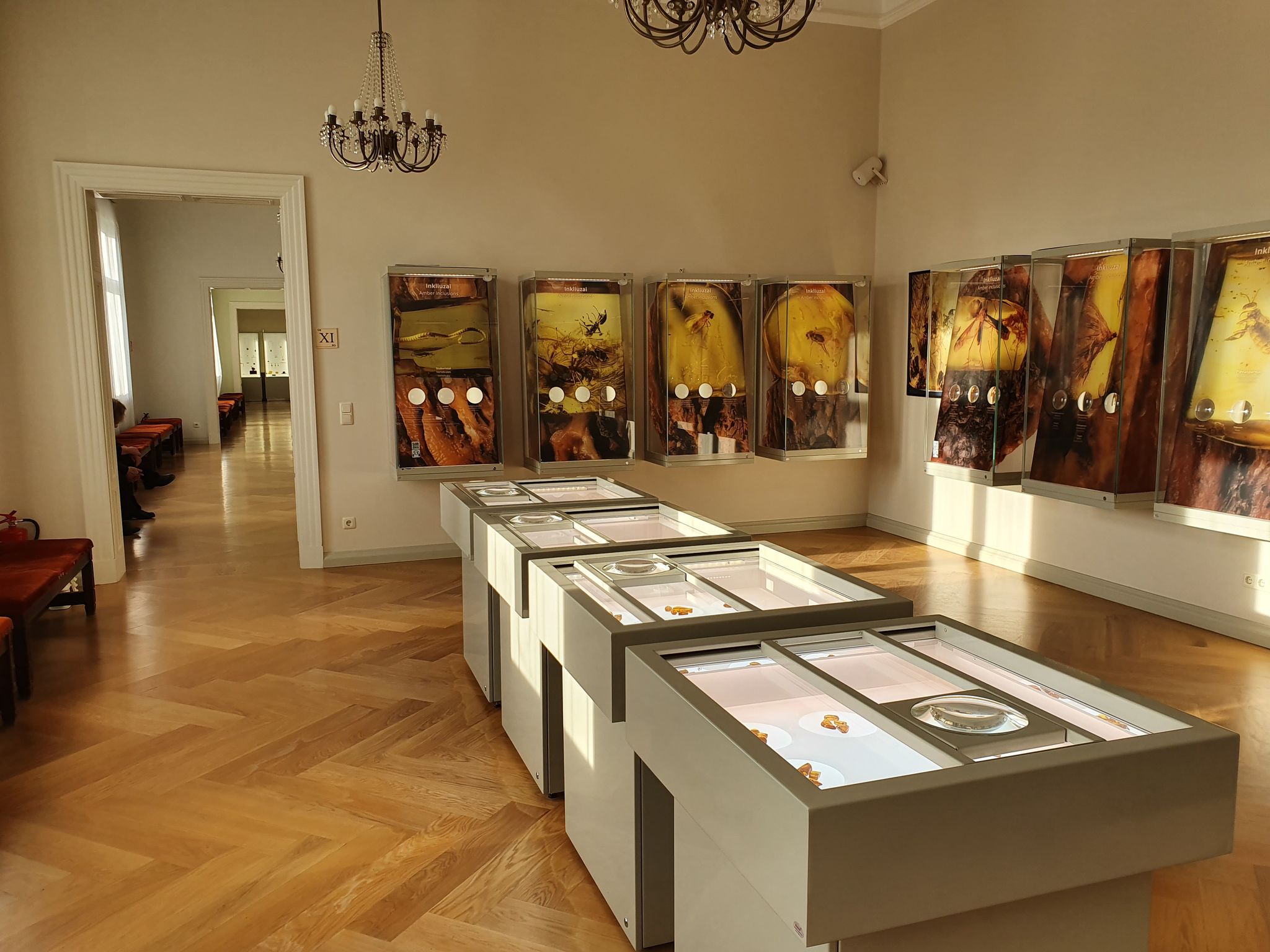 photo of Palanga, Lithuania - Jan 19, 2020: Amber museum in Palanga, a hallway exhibition with amber.