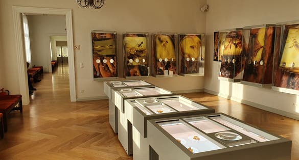 photo of Palanga, Lithuania - Jan 19, 2020: Amber museum in Palanga, a hallway exhibition with amber.