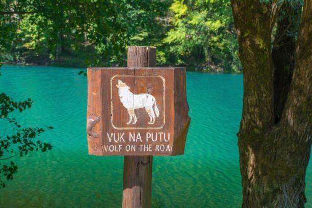 A sign warning visitors of wolves on the road in Una National Park.jpg