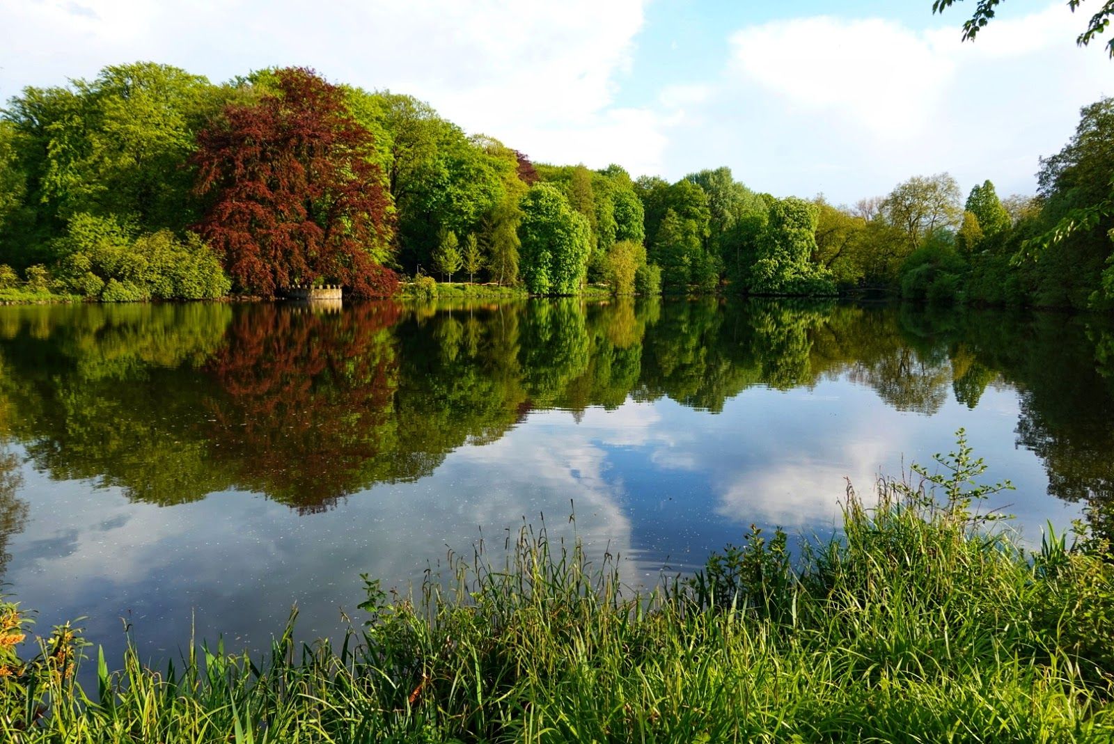Rombergpark Botanical Garden, Hombruch, Dortmund, North Rhine-Westphalia, Germany