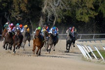 スポーツイベント観戦チケット