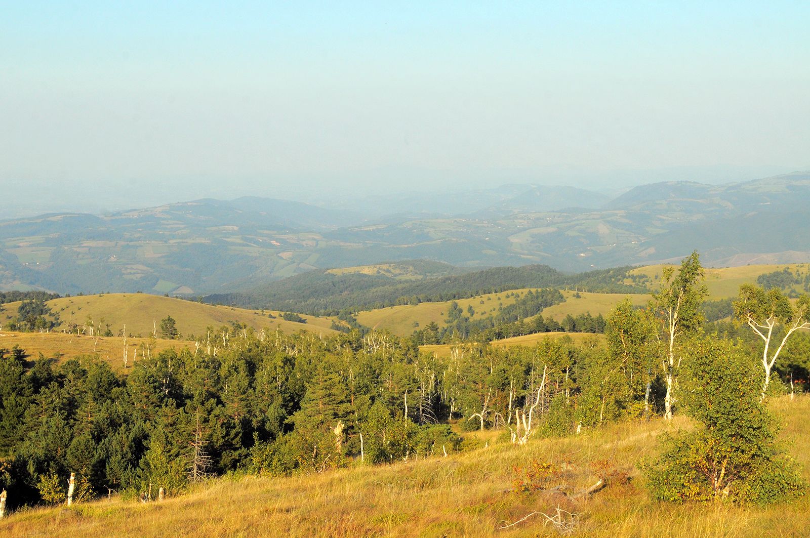 Kraljev Sto, Tometino Polje, Pozega Municipality, Zlatibor Administrative District, Central Serbia, Serbia