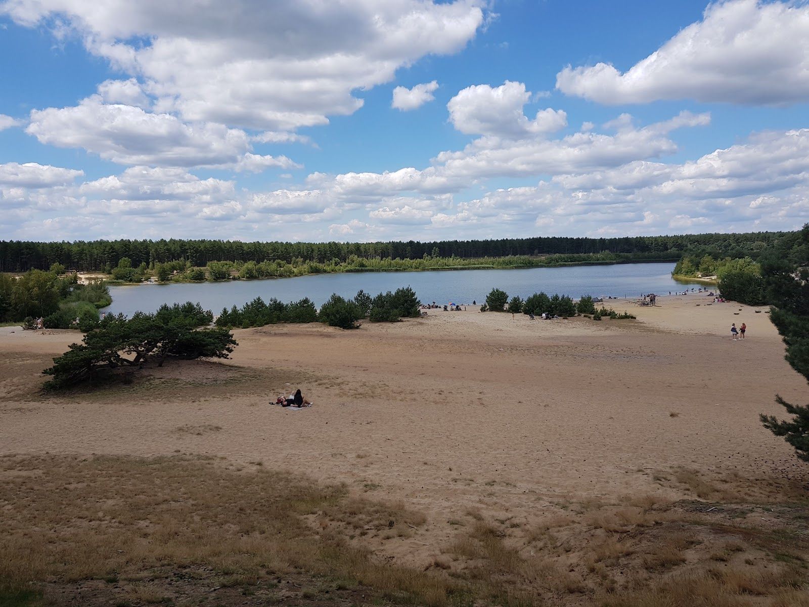 Sahara Lommel, Lommel, Maaseik, Limburg, Flanders, Belgium