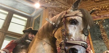  Private Tour of the Royal Palace of Turin