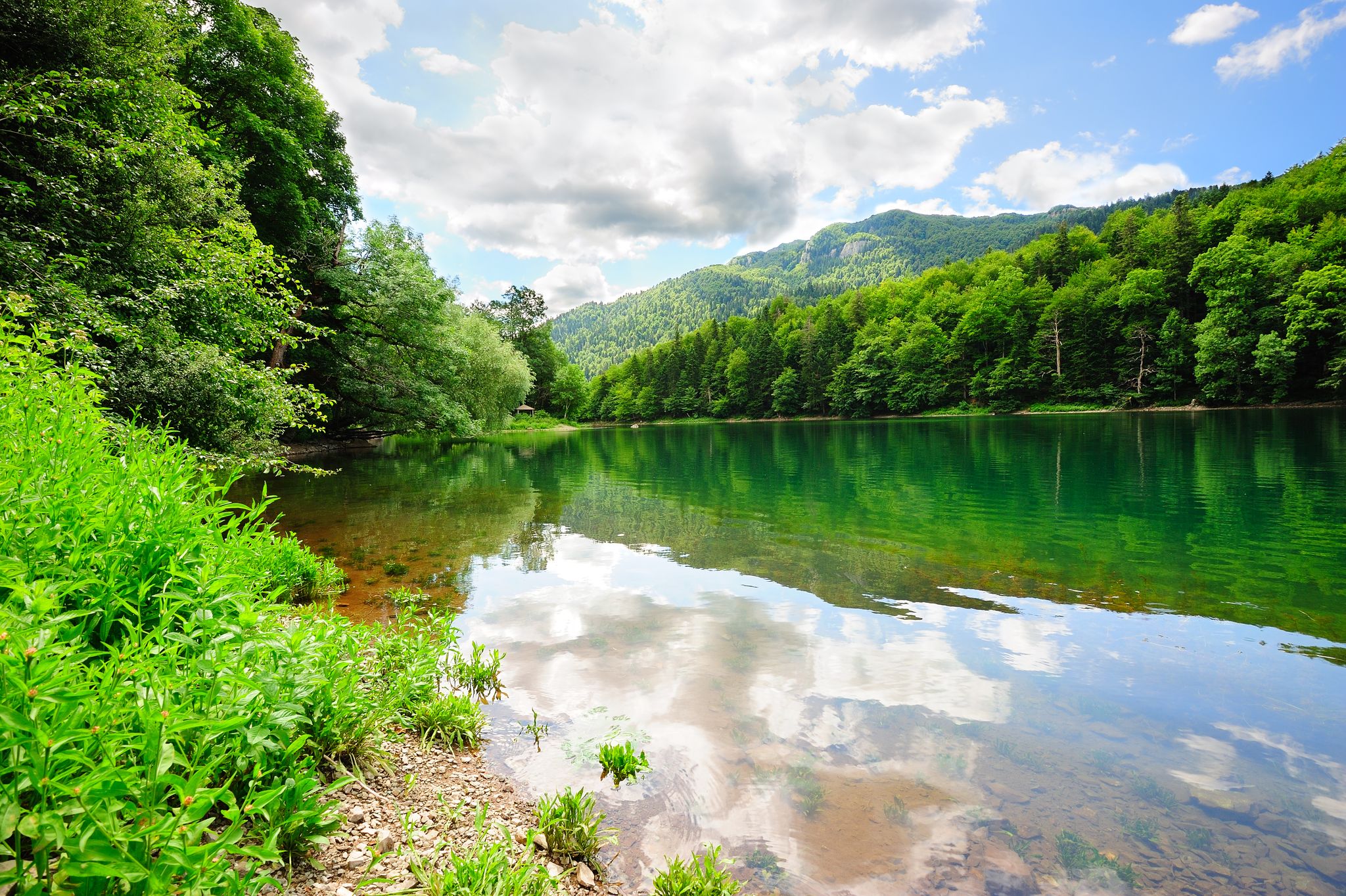 Photo of beautiful Biogradsko lake in the national park Biogradska Gora ,Montenegro.