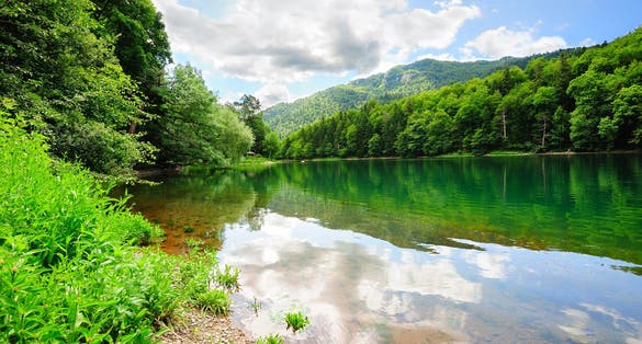 Photo of beautiful Biogradsko lake in the national park Biogradska Gora ,Montenegro.